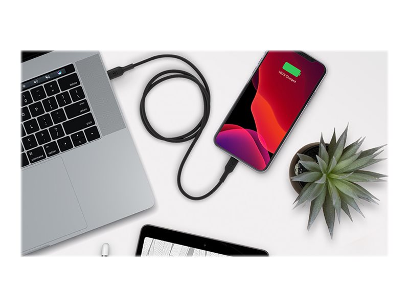 Belkin BOOST CHARGE - Cable Lightning - USB