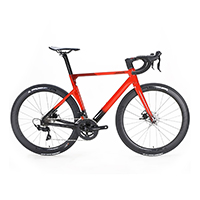 Bicicleta Java Vesuvio DI2 24V Talle L