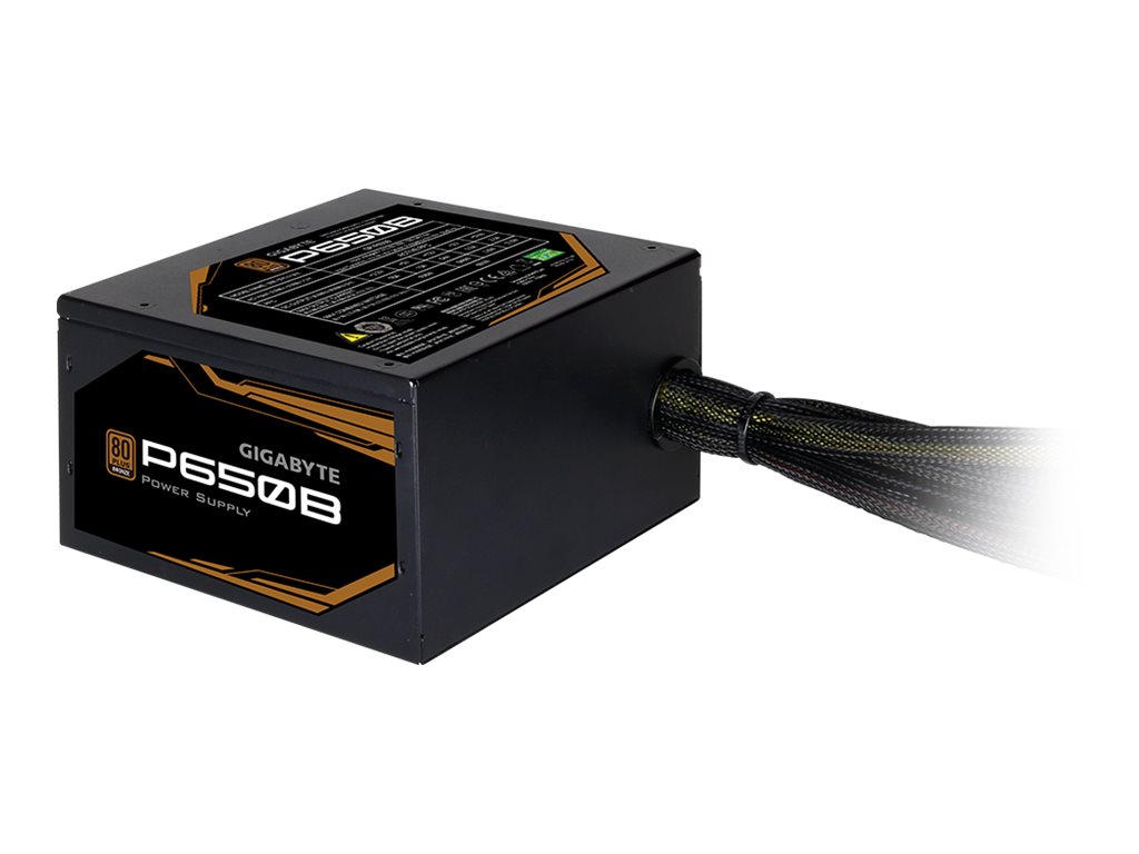 Gigabyte P650B - Fuente de alimentación (interna) - ATX12V 2.31